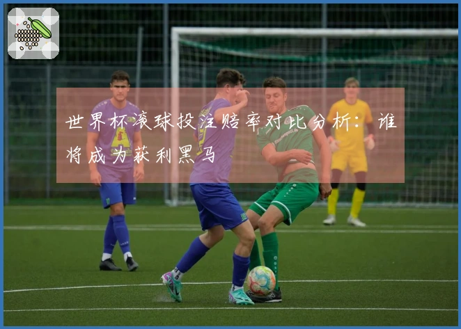 世界杯滚球投注赔率对比分析：谁将成为获利黑马