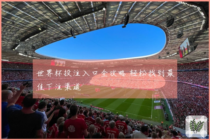 世界杯投注入口全攻略 轻松找到最佳下注渠道