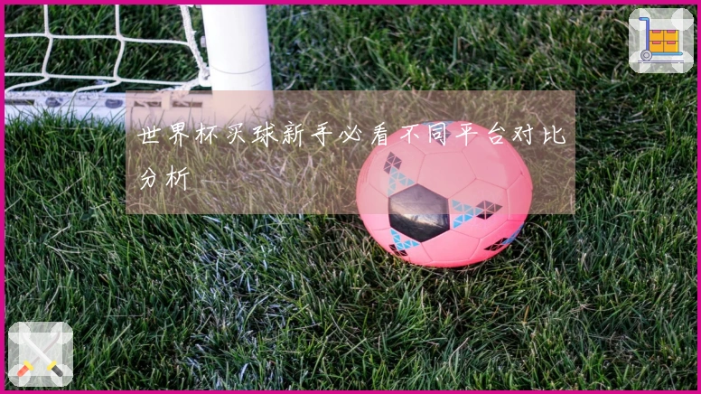 世界杯买球新手必看不同平台对比分析