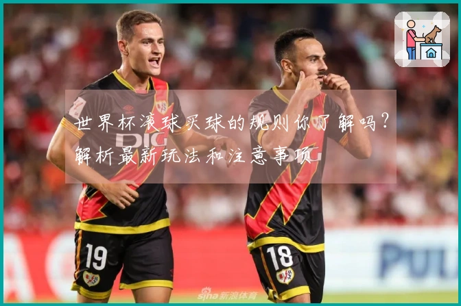 世界杯滚球买球的规则你了解吗？解析最新玩法和注意事项
