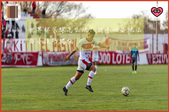 世界杯买球怎么玩？新手必备玩法与小技巧揭秘