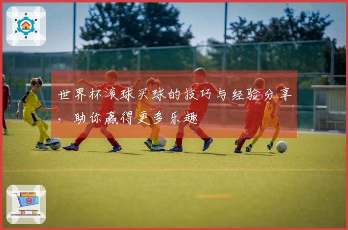 世界杯滚球买球的技巧与经验分享，助你赢得更多乐趣
