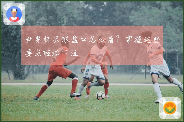 世界杯买球盘口怎么看？掌握这些要点轻松下注