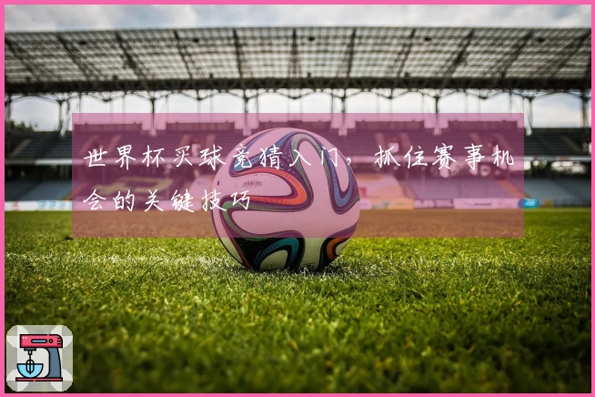 世界杯买球竞猜入门，抓住赛事机会的关键技巧