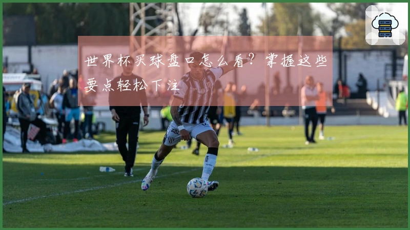 世界杯买球盘口怎么看？掌握这些要点轻松下注