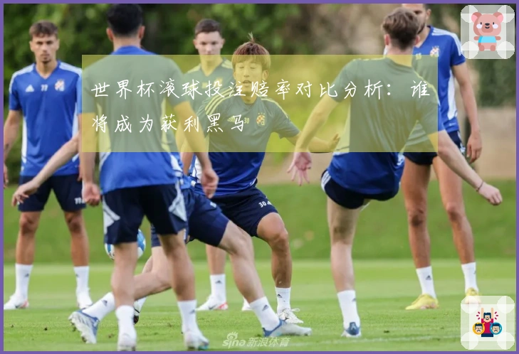 世界杯滚球投注赔率对比分析：谁将成为获利黑马
