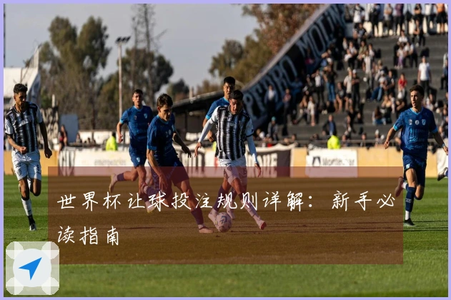 世界杯让球投注规则详解：新手必读指南