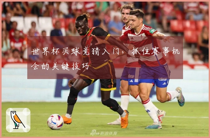 世界杯买球竞猜入门，抓住赛事机会的关键技巧
