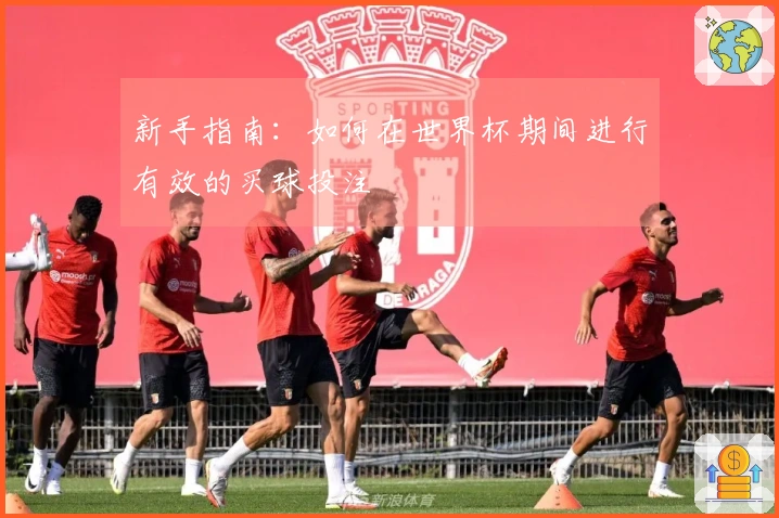 新手指南：如何在世界杯期间进行有效的买球投注