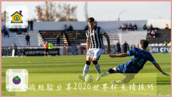 实战经验分享2026世界杯竞猜技巧与策略