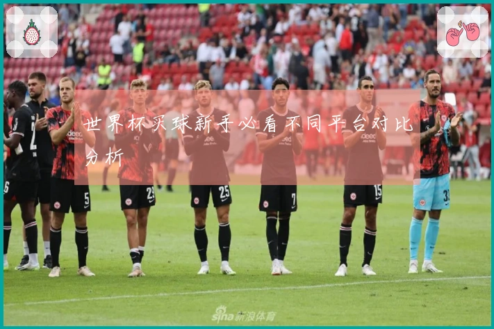 世界杯买球新手必看不同平台对比分析