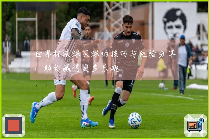 世界杯滚球买球的技巧与经验分享，助你赢得更多乐趣
